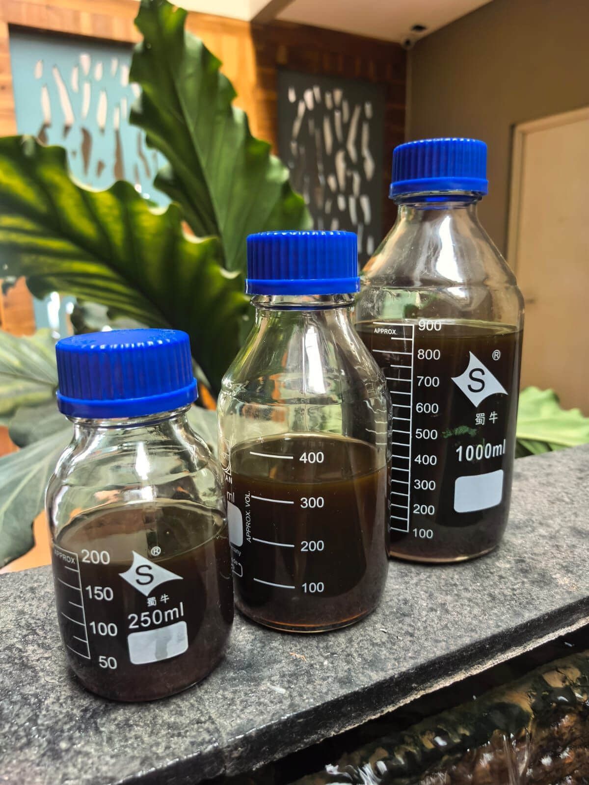 Pure Oud Agarwood Oil